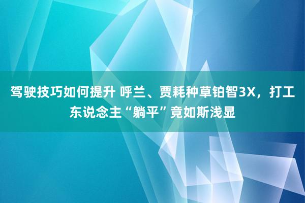 驾驶技巧如何提升 呼兰、贾耗种草铂智3X，打工东说念主“躺平