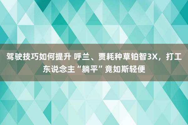 驾驶技巧如何提升 呼兰、贾耗种草铂智3X，打工东说念主“躺平